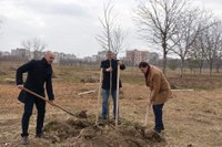 Залесяват още 100 фиданки за поредното разширение на парк „Лаута“